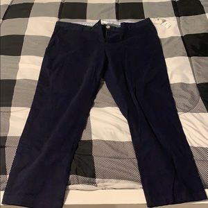 Blue crown and ivy dress pants